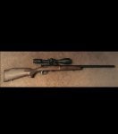 Browning T_Bolt_005.jpg