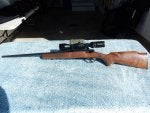 17HMR Browning T-Bolt.JPG