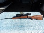 17HMR CZ452 2E American.JPG
